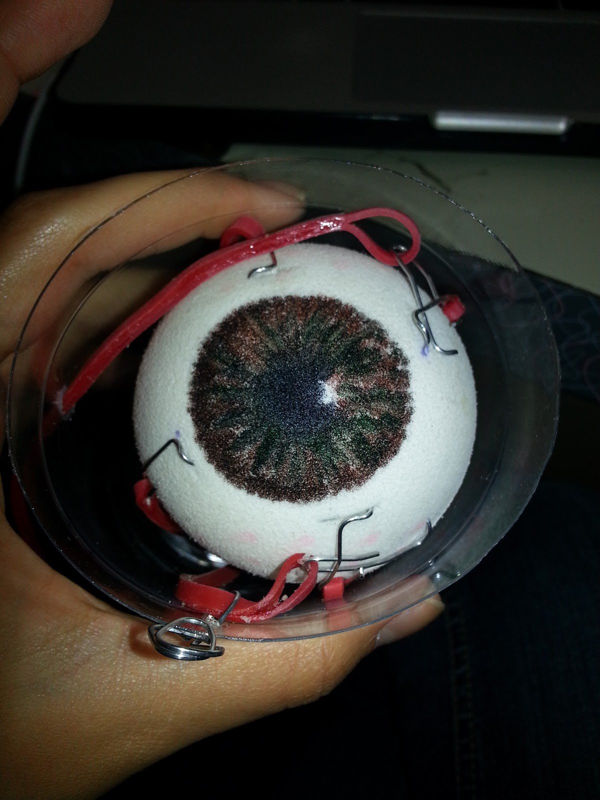 Creepy Styrofoam Eyeballs