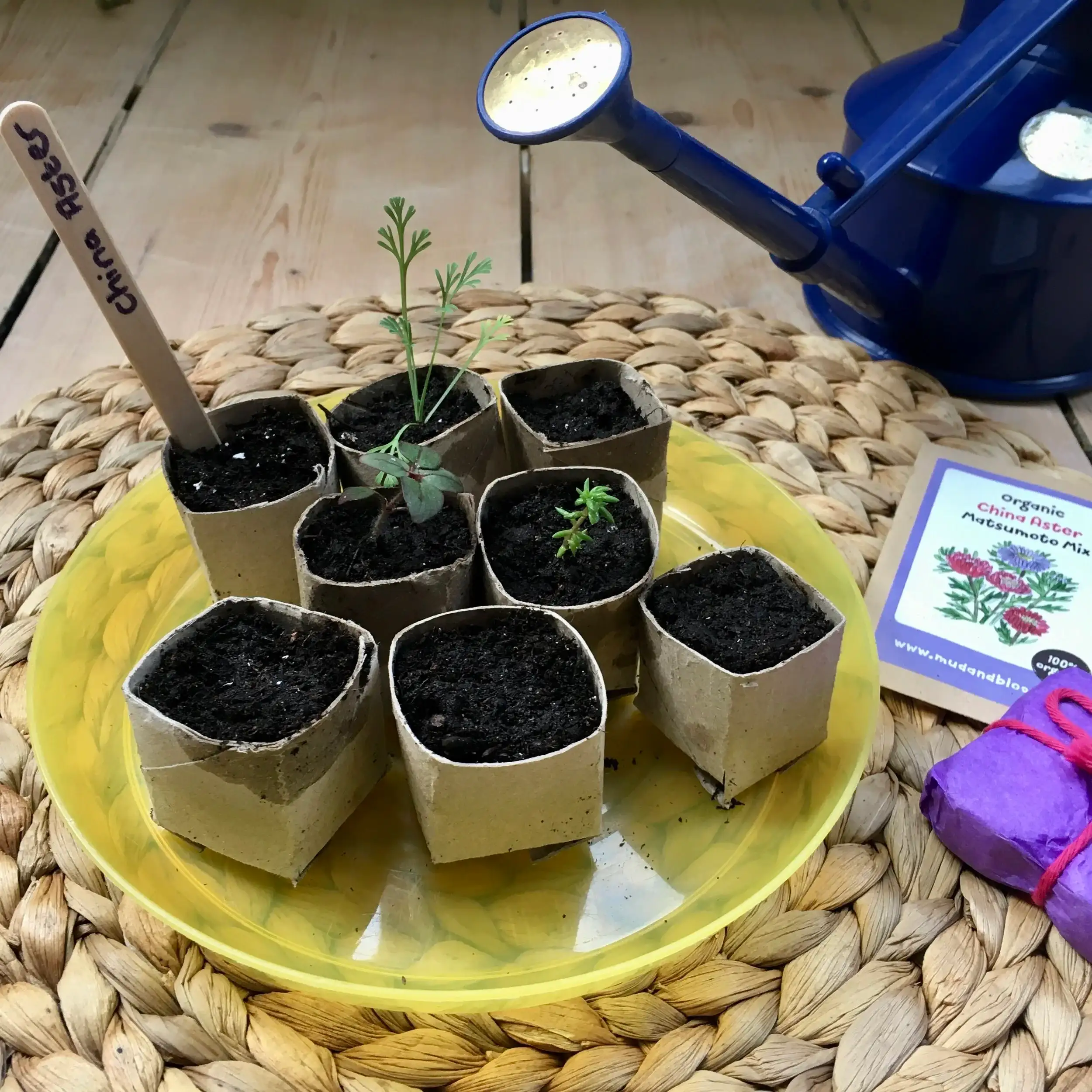Mini Planters