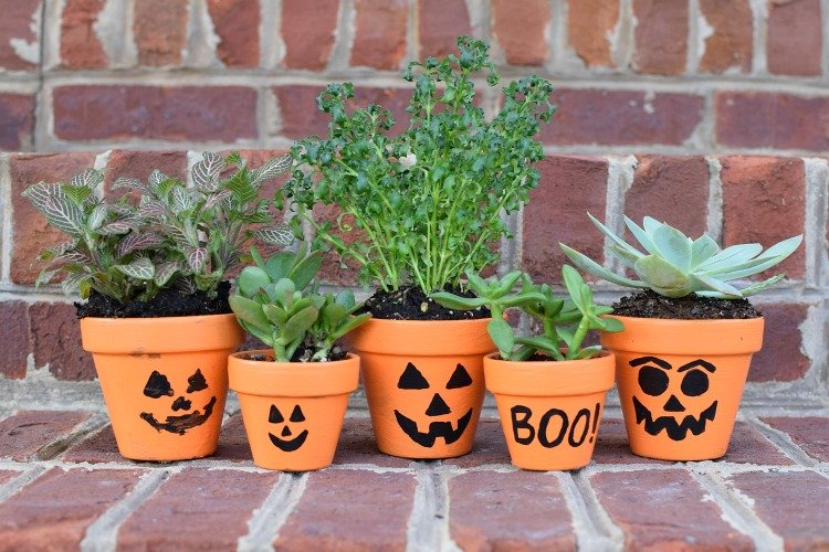 Painted Pumpkin Planters
