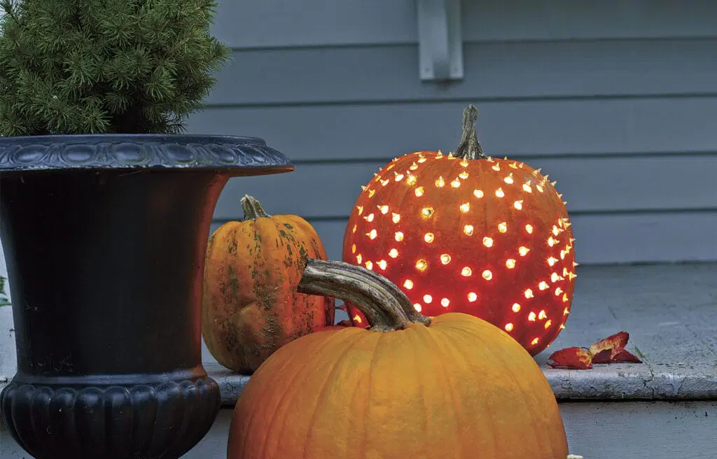 Pumpkin Luminaries