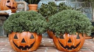 Pumpkin Planters