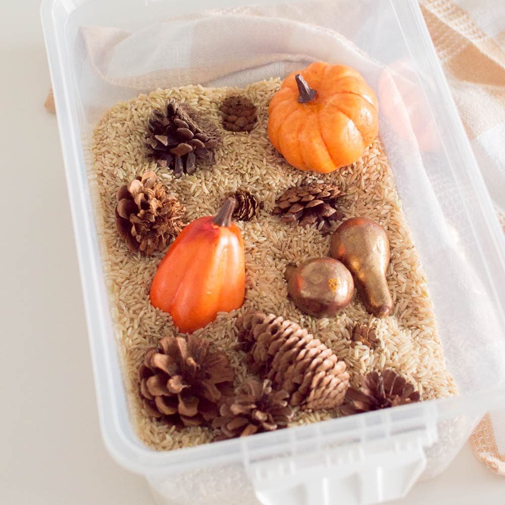 Sensory Pumpkin Bin