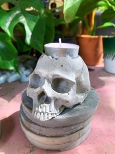 Skull Candle Holders