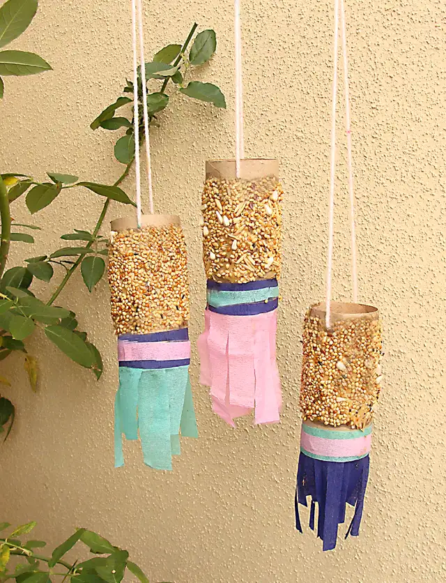 Toilet Paper Roll Bird Feeder